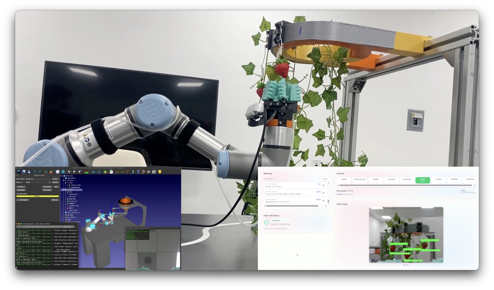 UR3e arm with Yeaberry's three-finger soft gripper harvesting strawberries beside a RoboDK simulation and monitoring dashboard.